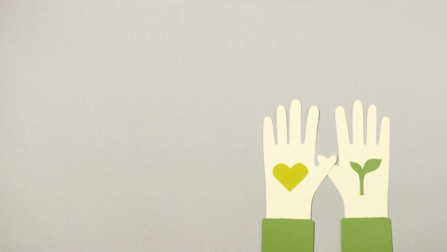 Subscription Donations for Nonprofits on WordPress