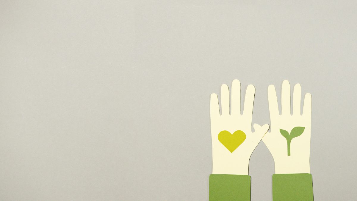Subscription Donations for Nonprofits on WordPress