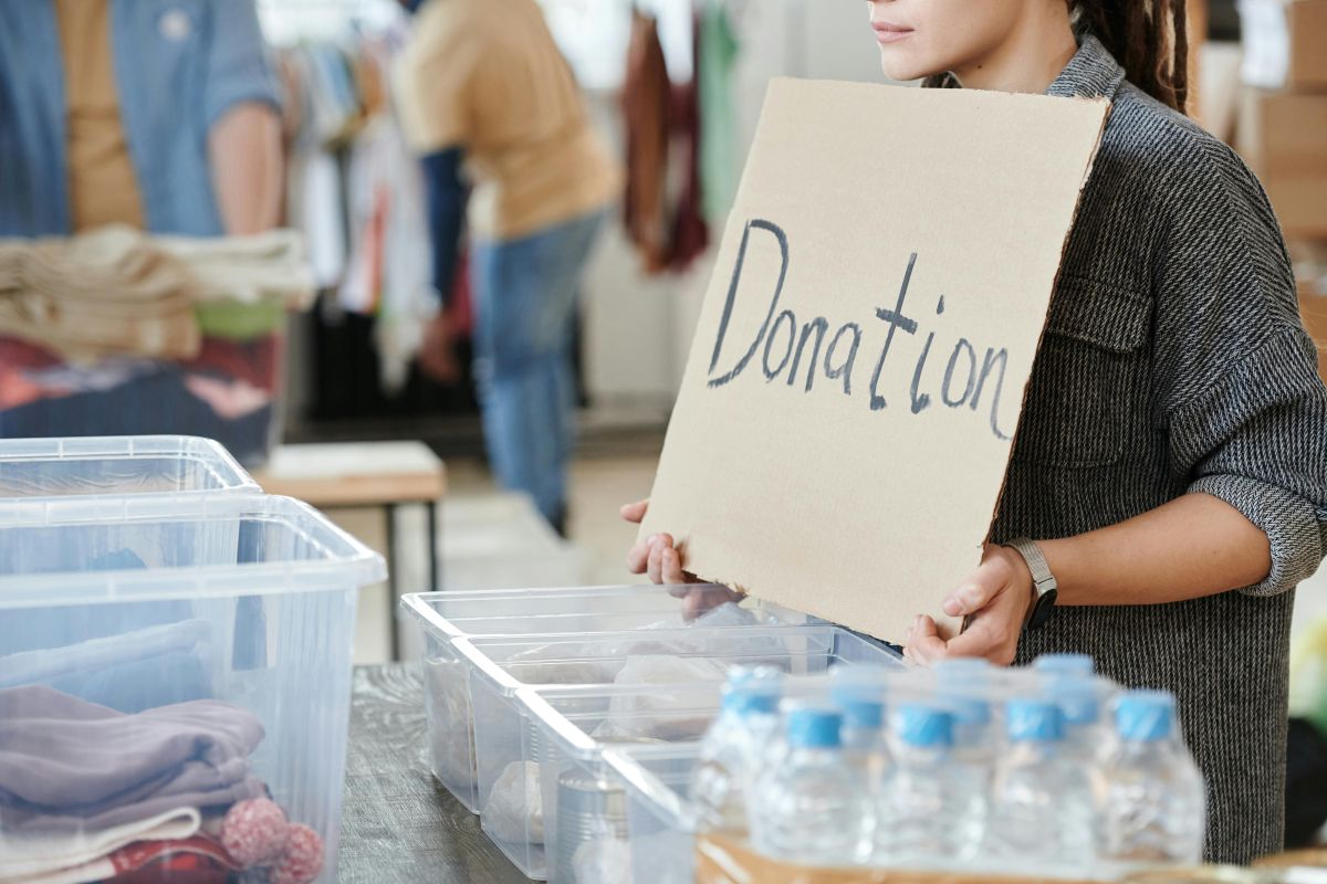 WordPress Donation Plugin Free - What to Expect