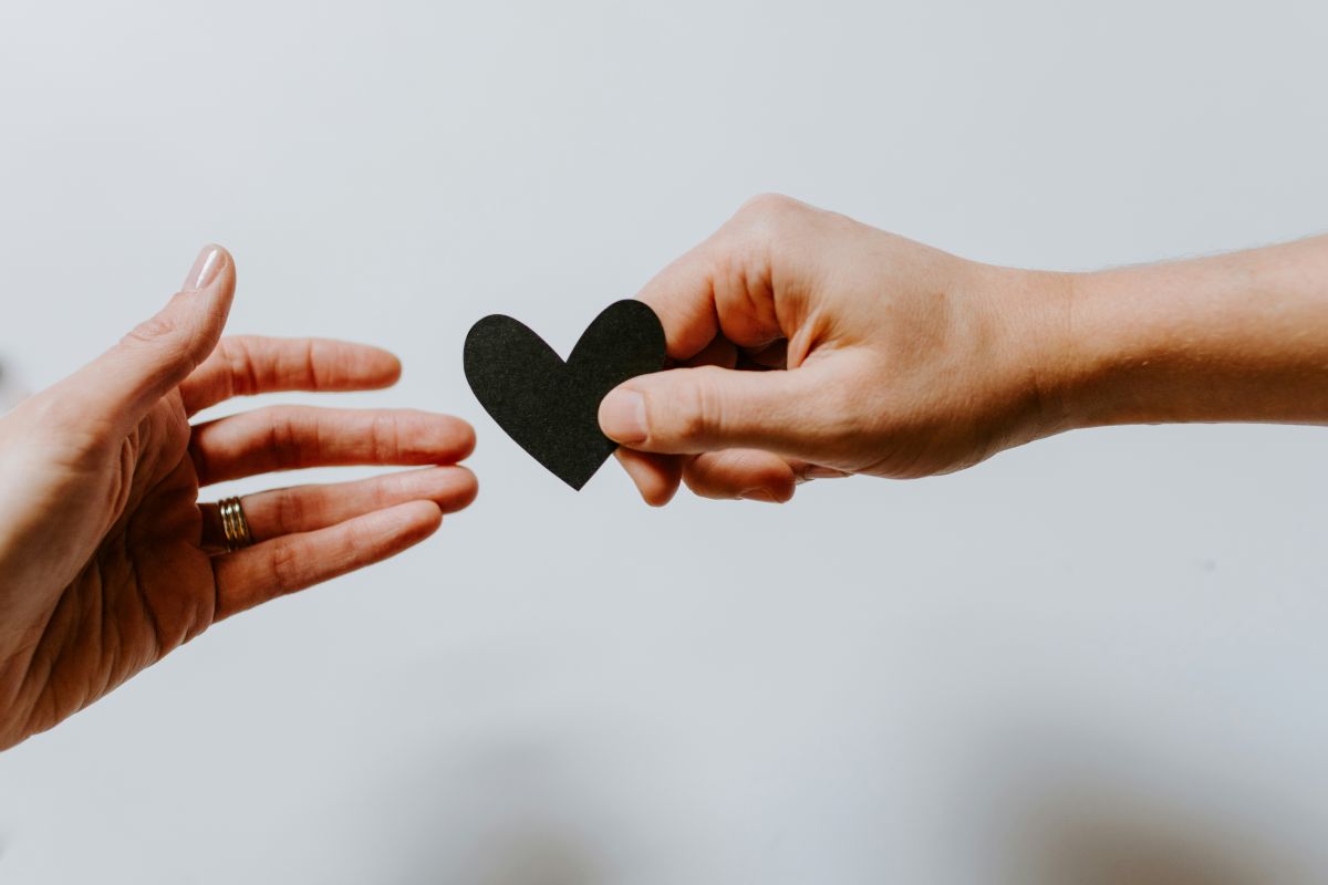 Giving Tuesday Fundraising Campaign on WordPress