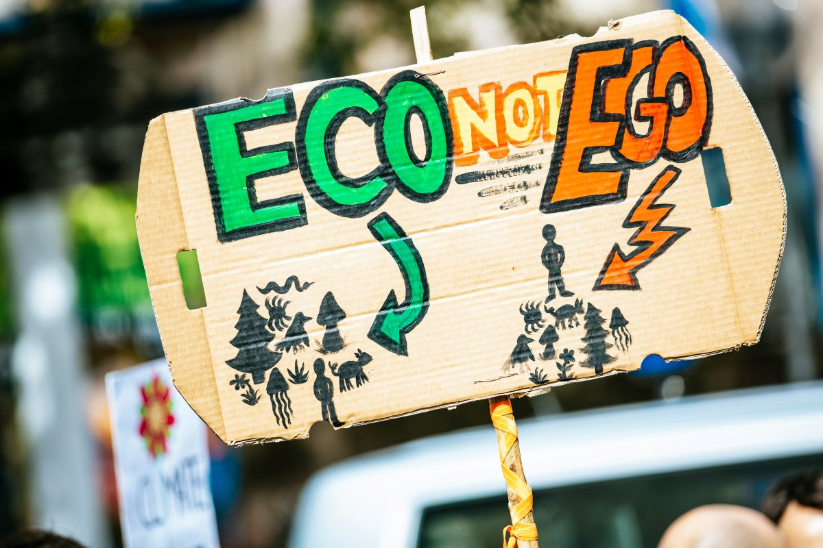 WordPress Donation Plugin for Environmental Organizations